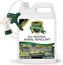Natural Armor Animal & Rodent Repellent Spray. Repels Skunks, Raccoons, Rats, Mice, Deer Rodents & Critters. Repeller & Deterrent in Powerful Peppermint Formula – 128 Fl Oz Gallon Ready to Use