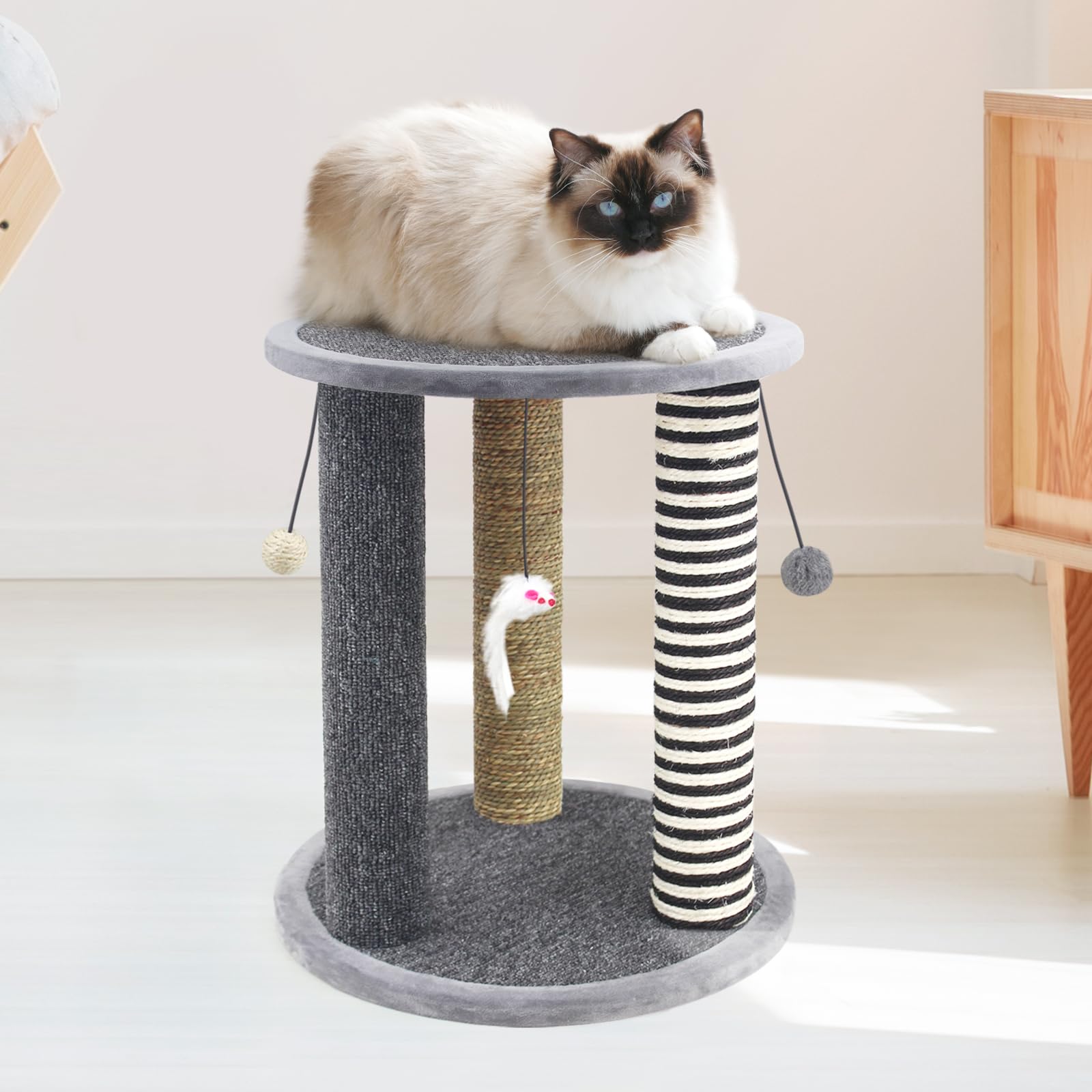 SONGWAY Kratzbaum mit Liegeplatz für Katze – Stabile Kratzsäule für Katzen Klein, Katzen Kratzmöbel, Kratzstamm mit Liegemulde und Spielzeug, Kratzpfosten für Katze, Katzenkratzer Spielzeug, Grau