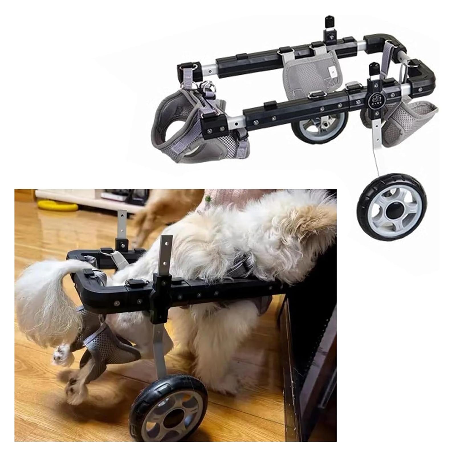 Chariot chien handicapé : redonnez la mobilité aux pattes arrière