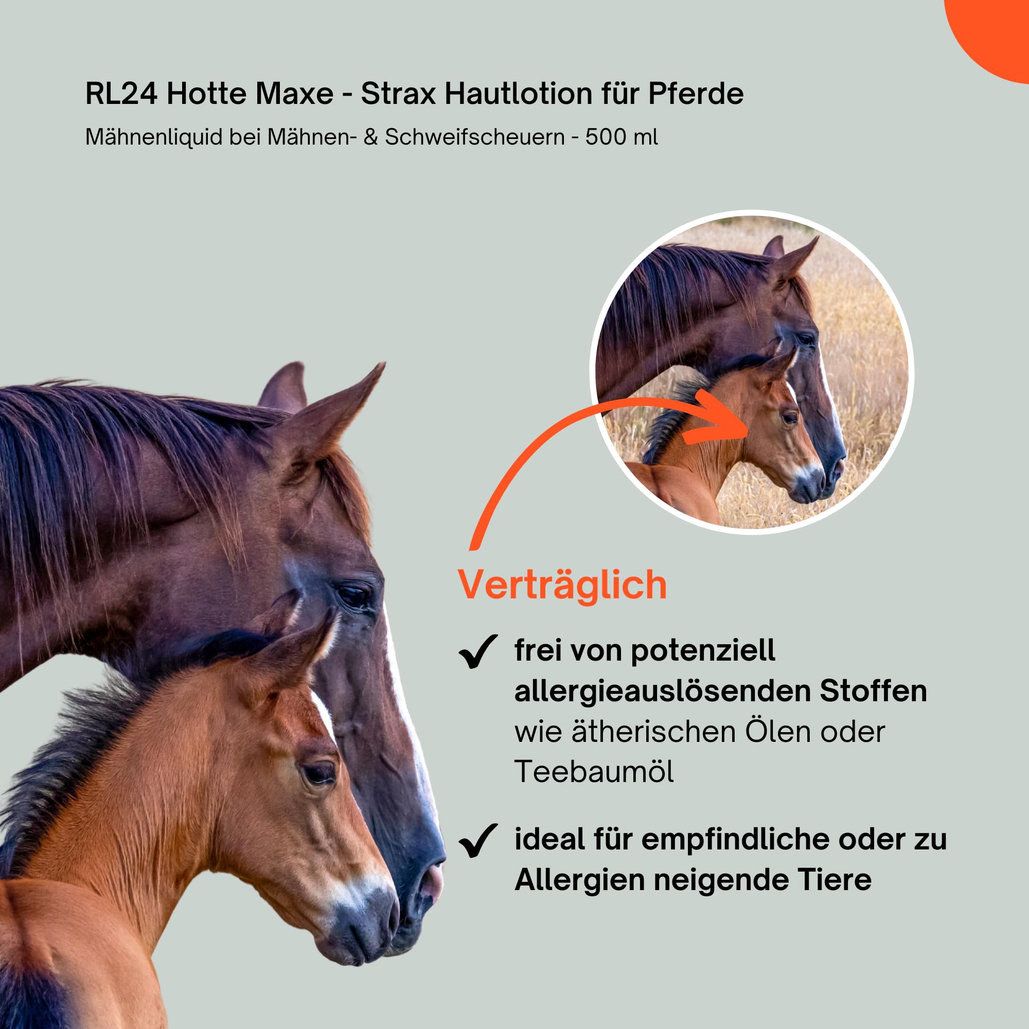 RL24 Hotte Maxe - Strax Hautlotion für Pferde – 2 x 500 ml Flasche (2er Set)
