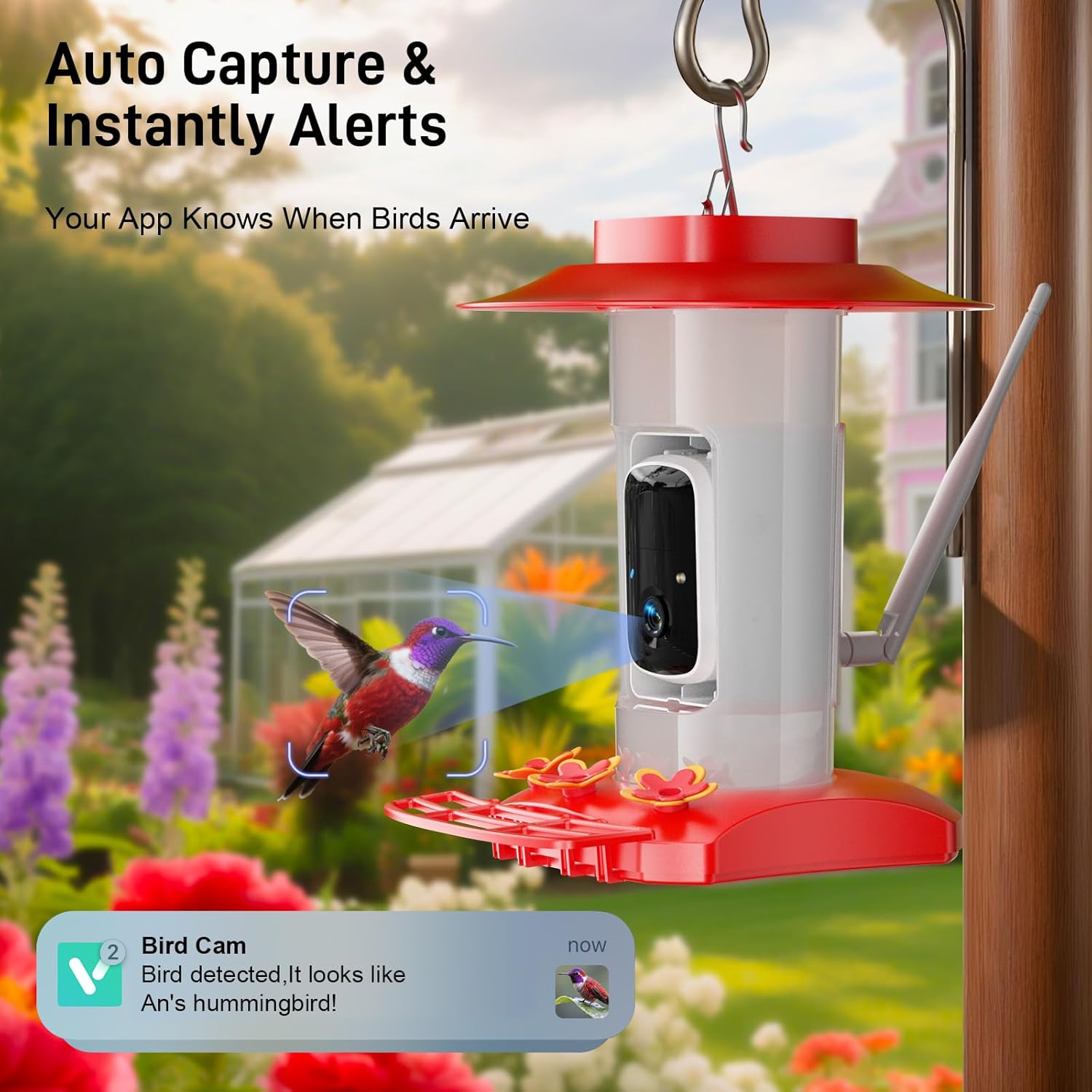 Hummingbird Feeder with Camera Outdoor, SV3C Hanging Bird Feeder with Ant Moat & Bee-Proof, HD 2K Solar Powered, AI Bird Identify, Instant App Alerts, Auto Capture, Hummingbird Lover Gifts, 21oz, Red - Image 3