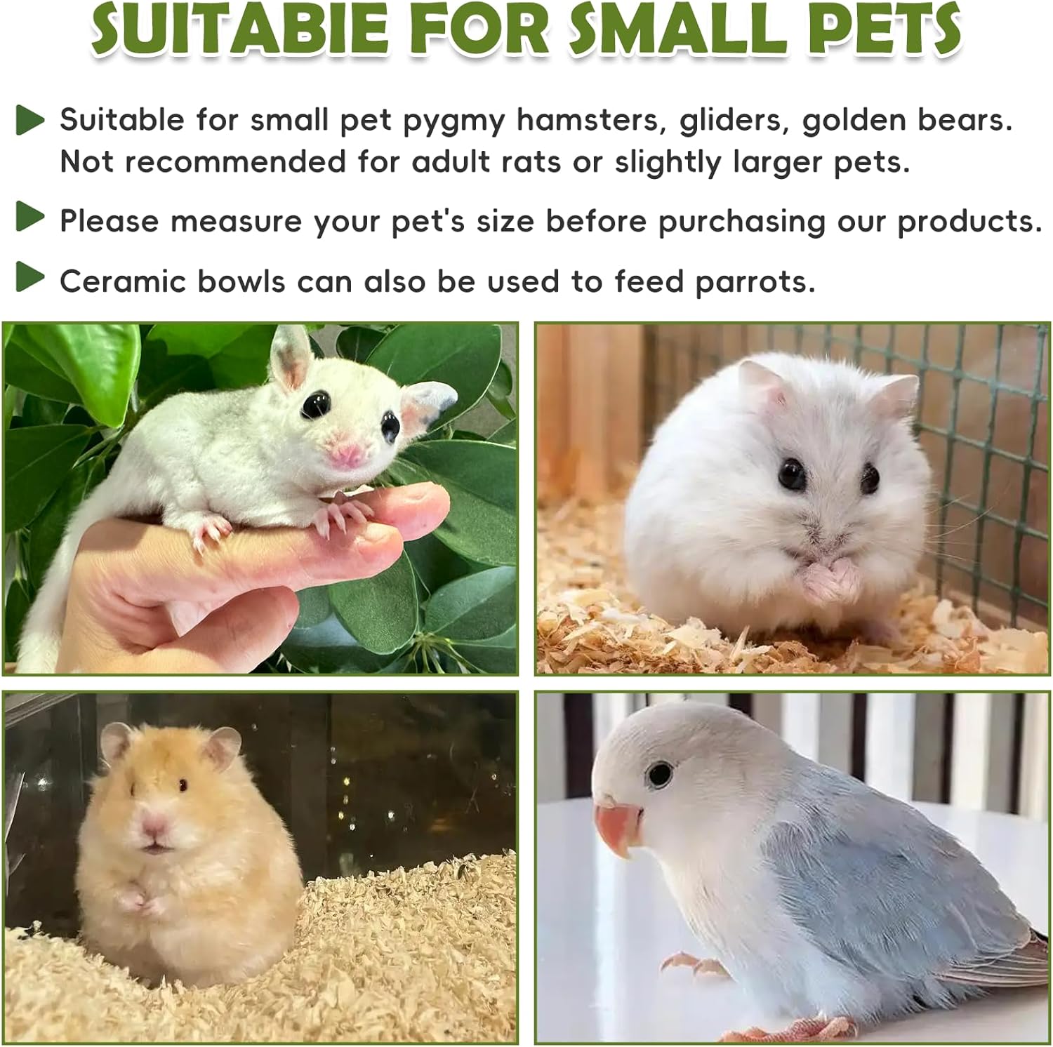 PINVNBY Ceramic Hamsters Hideout, Cactus Ceramic Dwarf Hideout, Hamster Water Bottle, Sand Bath, Food Bowl & 125ML Water Bottle Holder for Dwarf Hamster Cage Accessories