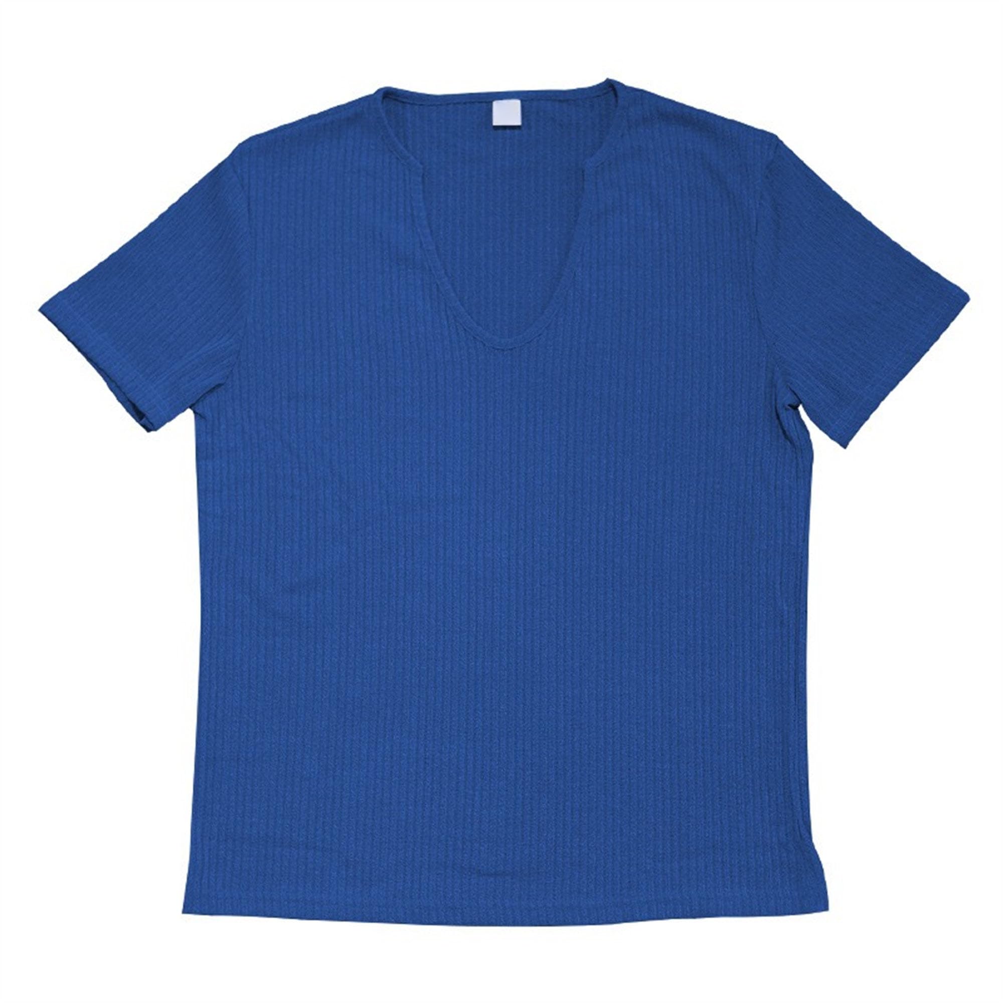 Men Classic Comfy Casual V-Neck T-Shirt Breathable Slim Short Sleeved Shirt Summer Simple Style Sport Tee (Royal Blue,XX-Large)