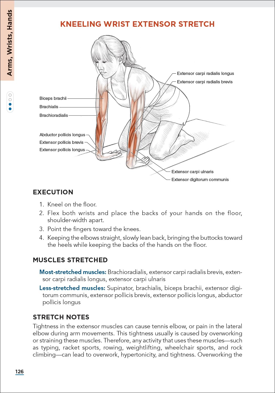 Stretching Anatomy