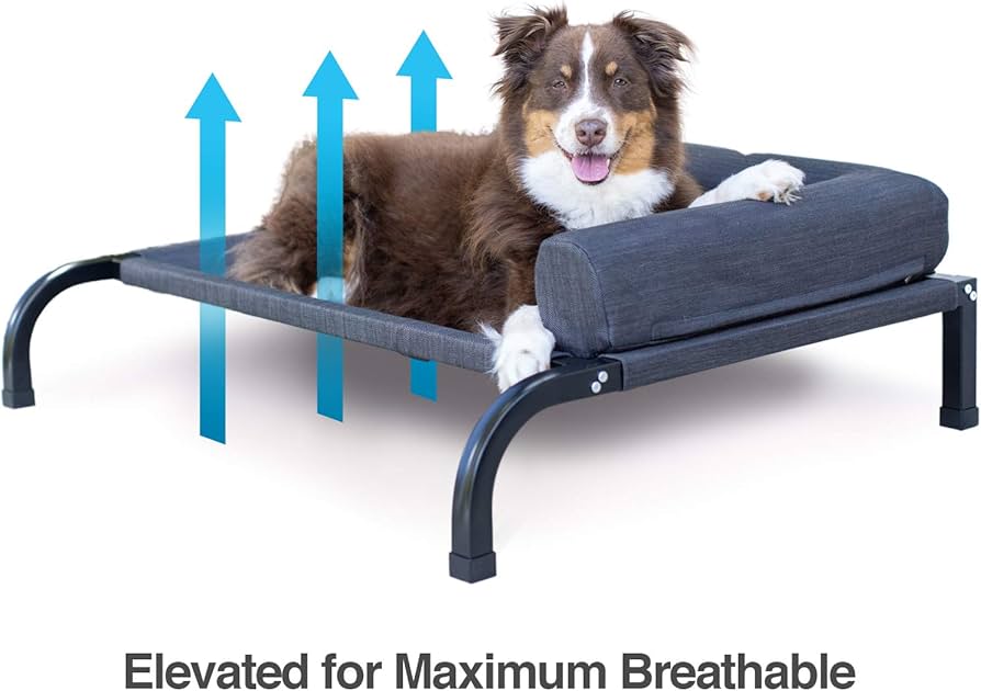 outdoor pet beds for dogs
