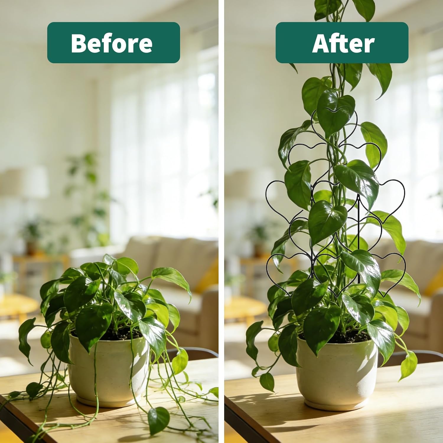 Heart-Shaped Metal Plant Trellis Set – Stackable, Rust-Resistant Garden Plant Support for Indoor and Potted Climbing Vines, Ivy, Pothos – Decorative Flower Stand, 12 Pack, 35x30cm, Black