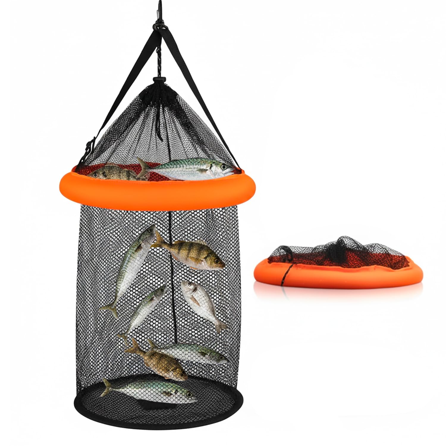 Avilia – Rete da Pesca Portatile Profonda 75 cm - PP Resistente per Pesca Sportiva e Ricreativa, Facile da Utilizzare e Trasportare con Cassa Inclusa, Ideale per Pesca in Mare e Acqua Dolce