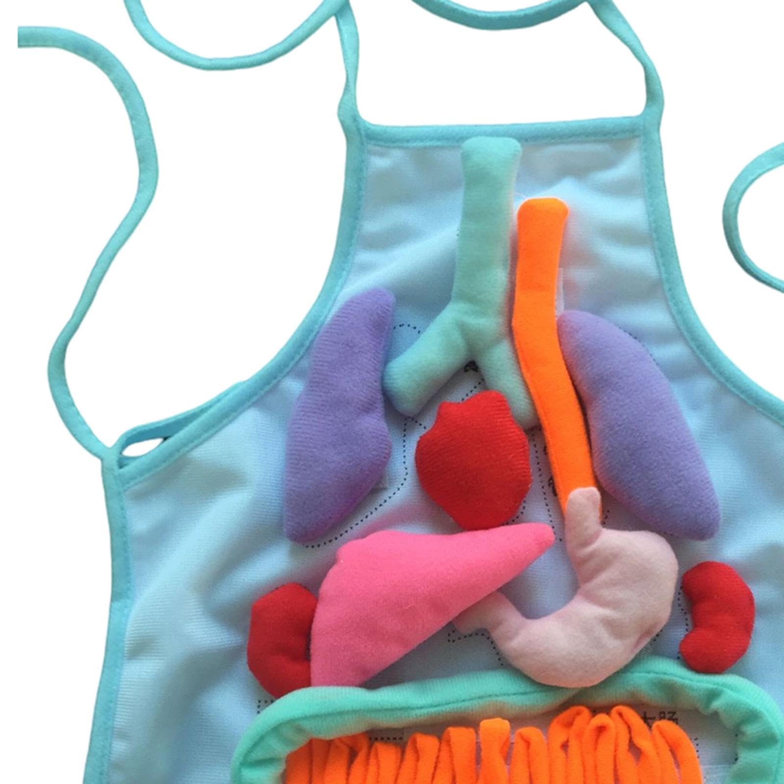 Sharplace Grembiule 3D con Organi per Bambini, Grembiule Didattico Tridimensionale del Corpo Umano, Modello di Organi Interni, per Scuola E Asilo Nido, Blu