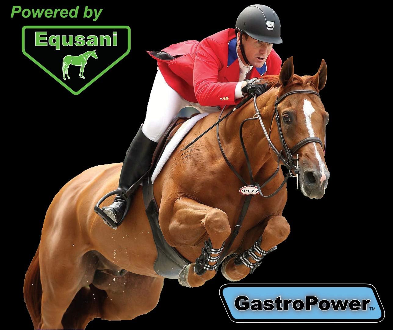 Equsani GastroPower Digestible Free Fatty Acid Feed Concentrate for Horses