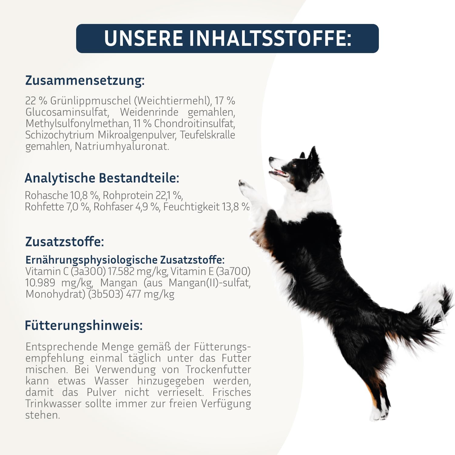 BodyFokus PetFokus Agility Complete karma dla psów wrażliwych na stawy