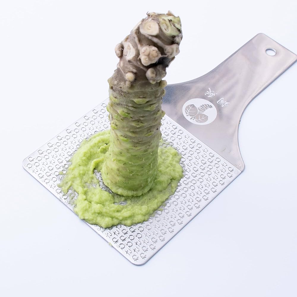 Amazon | 伊豆天城産実生生わさび1本（51〜60g） 本わさび 山葵 静岡県