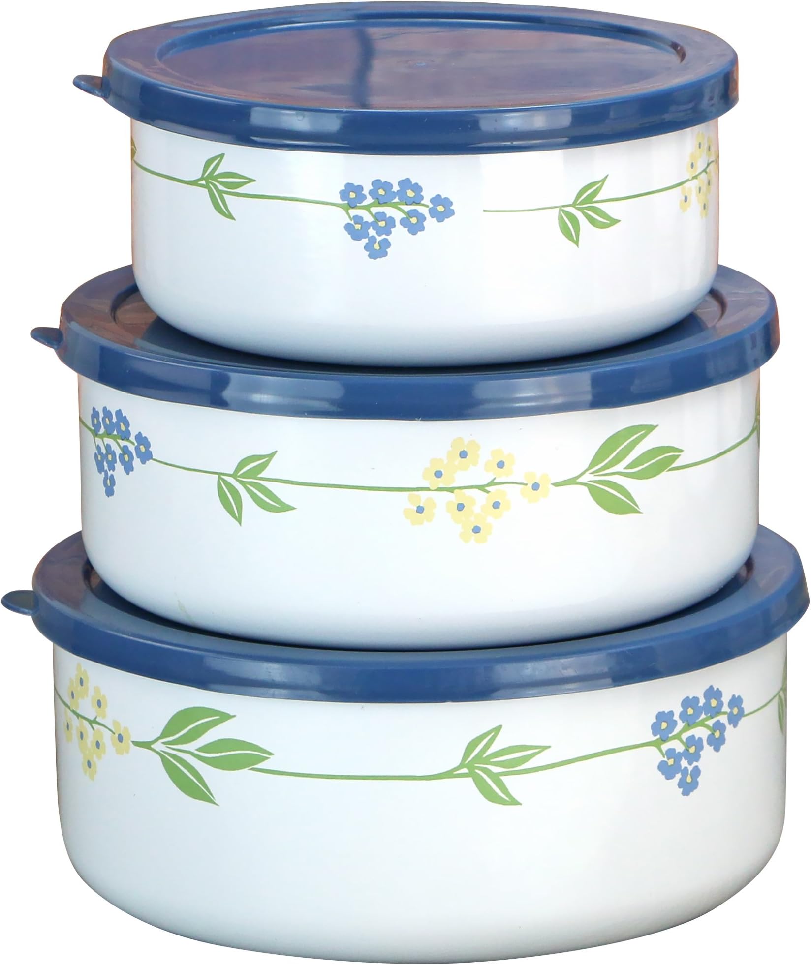 Corelle Coordinates by Reston Lloyd 6-Piece Enamel on Steel Bowl/Storage Set, Secret Garden