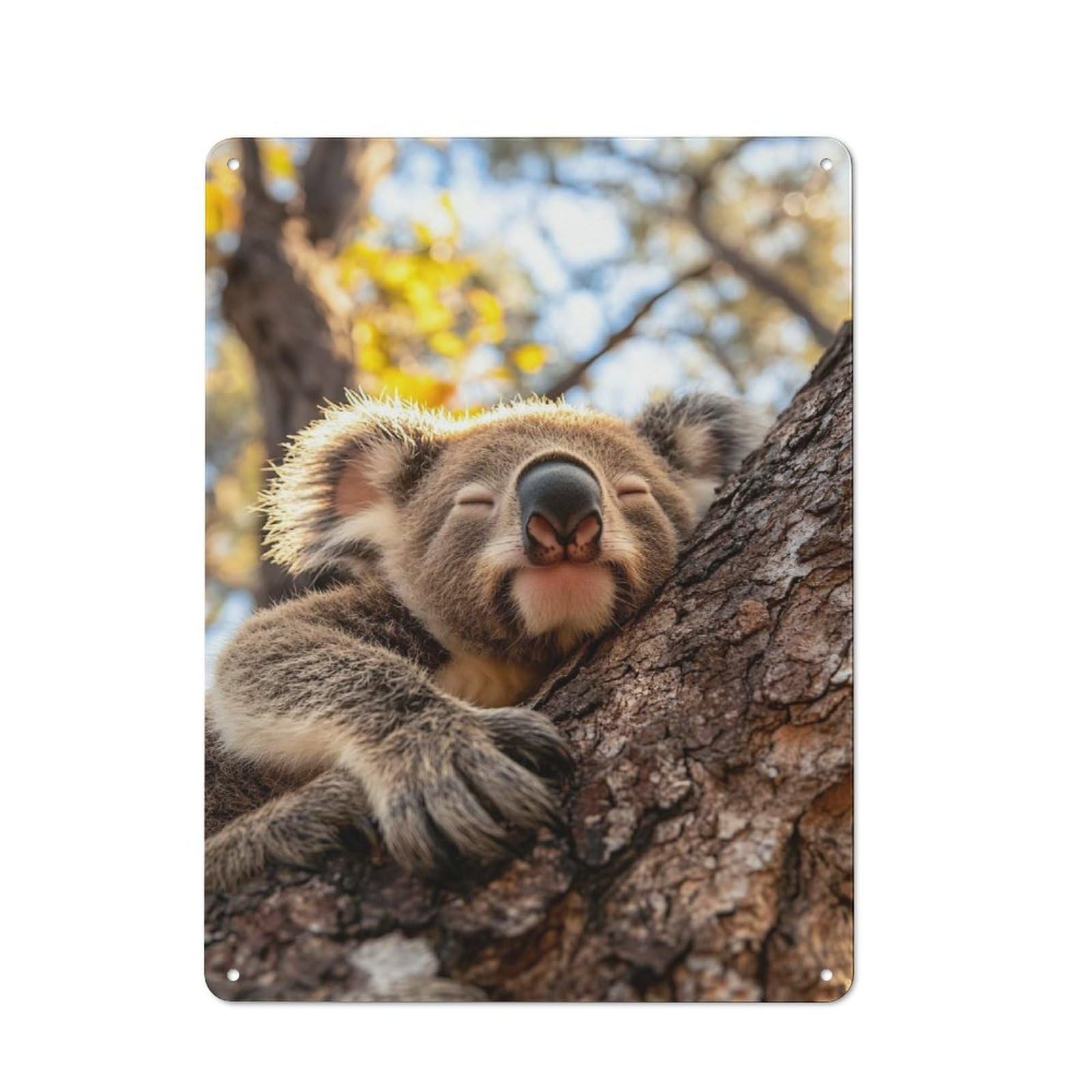 Junmoney Style-8 Sleeping Koala In Tree Rustic Tin Sign 40X30cm For Lounge Or Reading Corner, For Metal Sign Collectors, For Cafés, Pubs And Restaurants