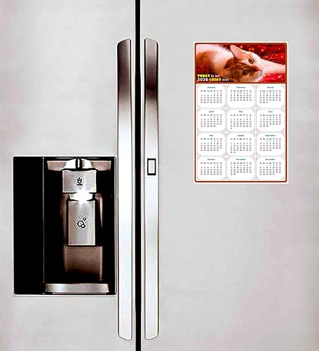 Miniatura 3 de Calendario magnético 2024  Imanes del calendario  Today is my Lucky Day  Resistente a la decoloración, desgarros y agua  Temática de gato 07 (5.25 x