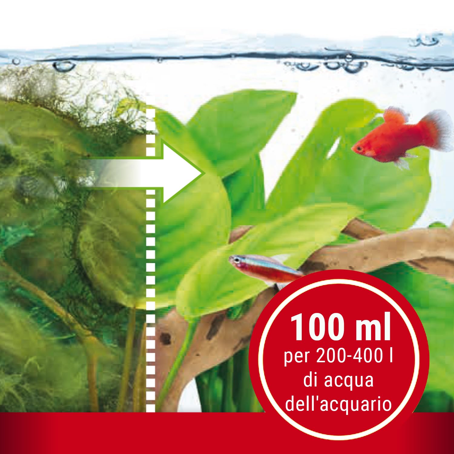 Tetra Algumin Combatte Efficacemente Ogni Tipologia Di Alghe, 100 ml