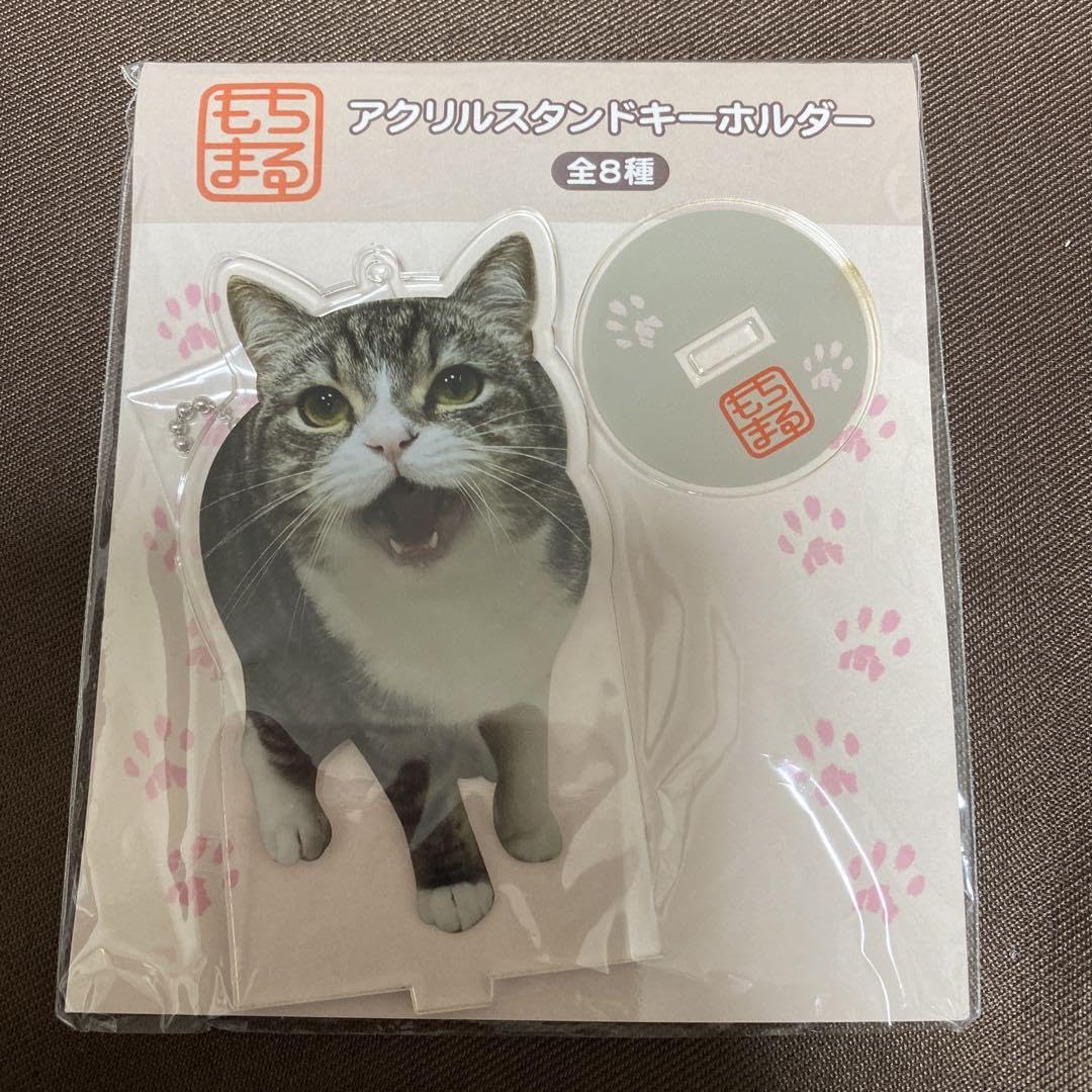 もちまる日記　もち様　アクリルスタンド　カードスタンド　202307052333 アクスタ付きカードスタンド もちまる日記 – FAN+Life