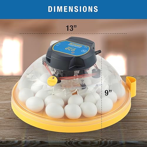 Miniatura 6 de Brinsea Maxi II Eco Incubadora manual de huevos con control electrónico de temperatura, circulación de aire asistida por ventilador para incubar 30