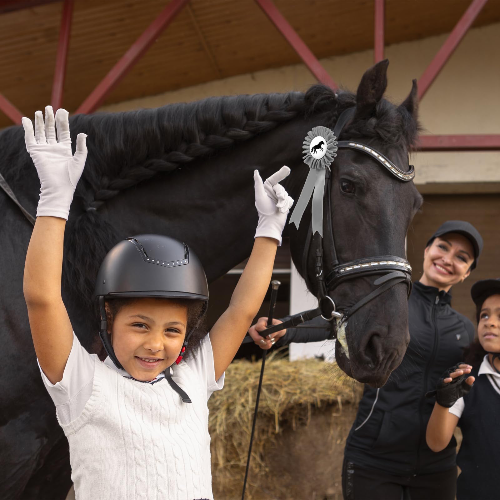 Paquete de 5 arcos de torneo para caballos, con doble roseta, arcos de premios para eventos ecuestres, coloridos