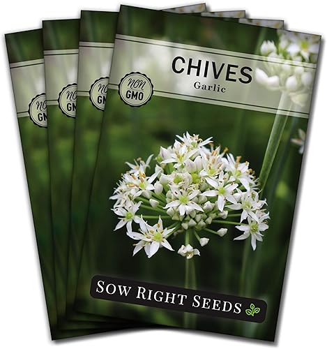 Sow Right Seeds - Garlic Chives Seeds for Planting - Non-GMO Heirloom Packet with Instructions to Plant and Grow a Kitchen Herb Garden - Indoor or