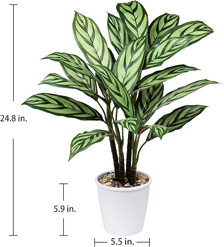 Miniatura 10 de Briful Medallón de Calathea artificial de 24.8 pulgadas, plantas falsas, decoración del hogar, planta sintética tropical en maceta para decoración