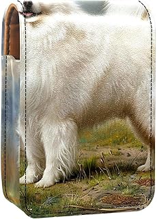 Makeup Organizer,Makeup Lipstick Case for Out...