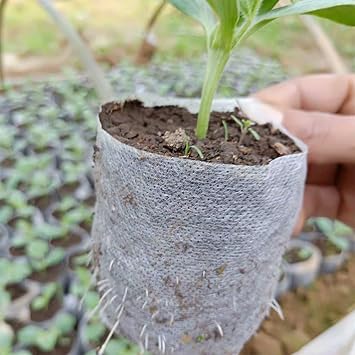 BFYDOAA 300Pcs Plant Nursery Bags,7.8x8.6 inch Biodegradable Nursery Bag Seedling Bags Non Woven Seedling Grow Bags for Flower Vegetable Tree Seed Starter Bags Home Garden Supply