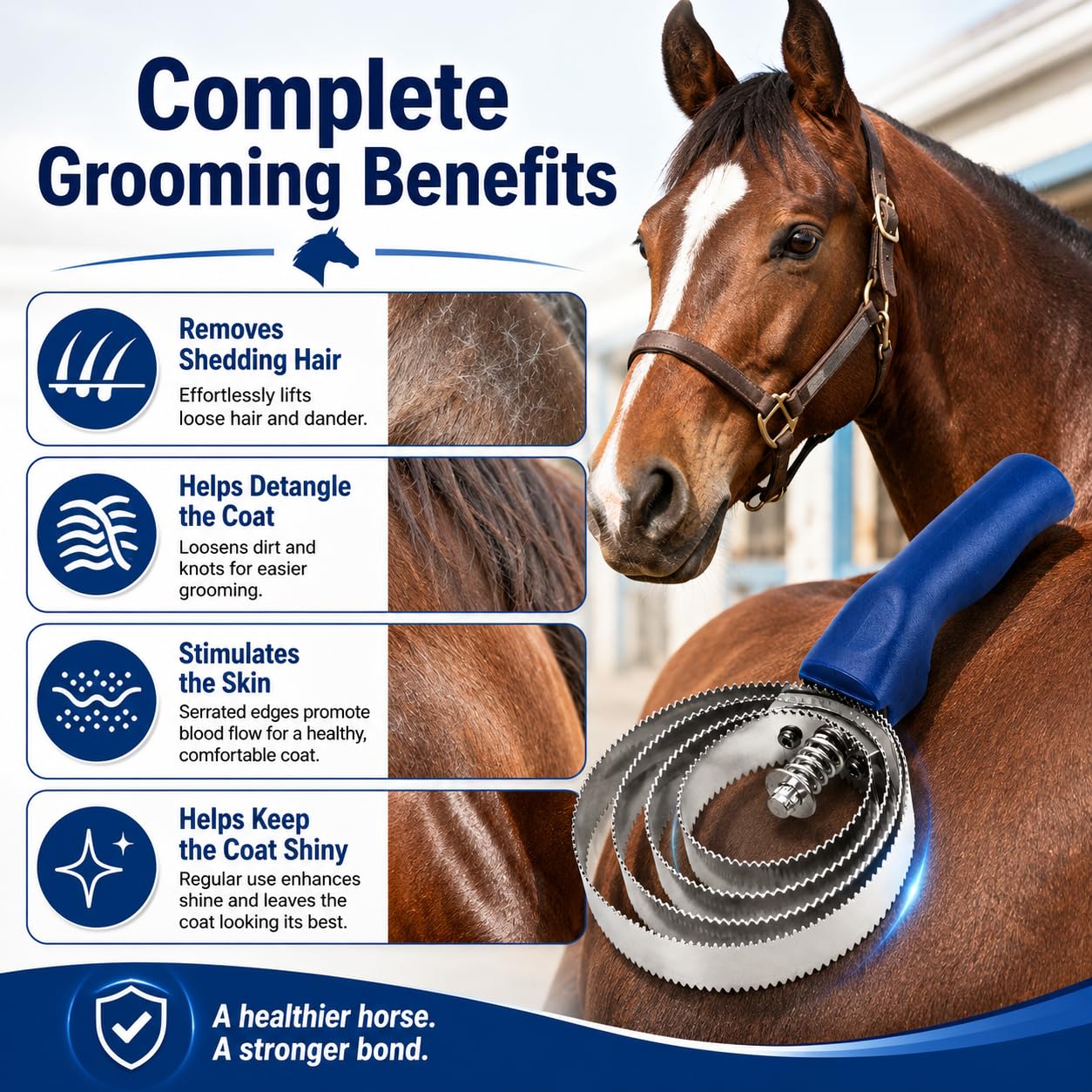 Curry Combs for Horses & Pets - 2 Pack -6 Curry Combs for Horses & Pets - 2 Pack -6