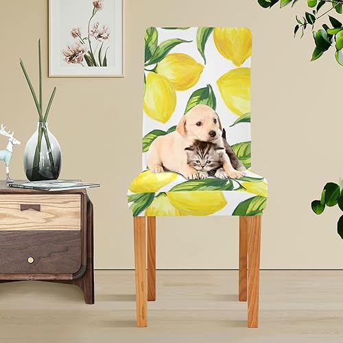 Miniatura 5 de WELLDAY Fundas para sillas de comedor, diseño de limones amarillos, lavables, extraíbles para el hogar, restaurante, hotel, ceremonia, banquete,