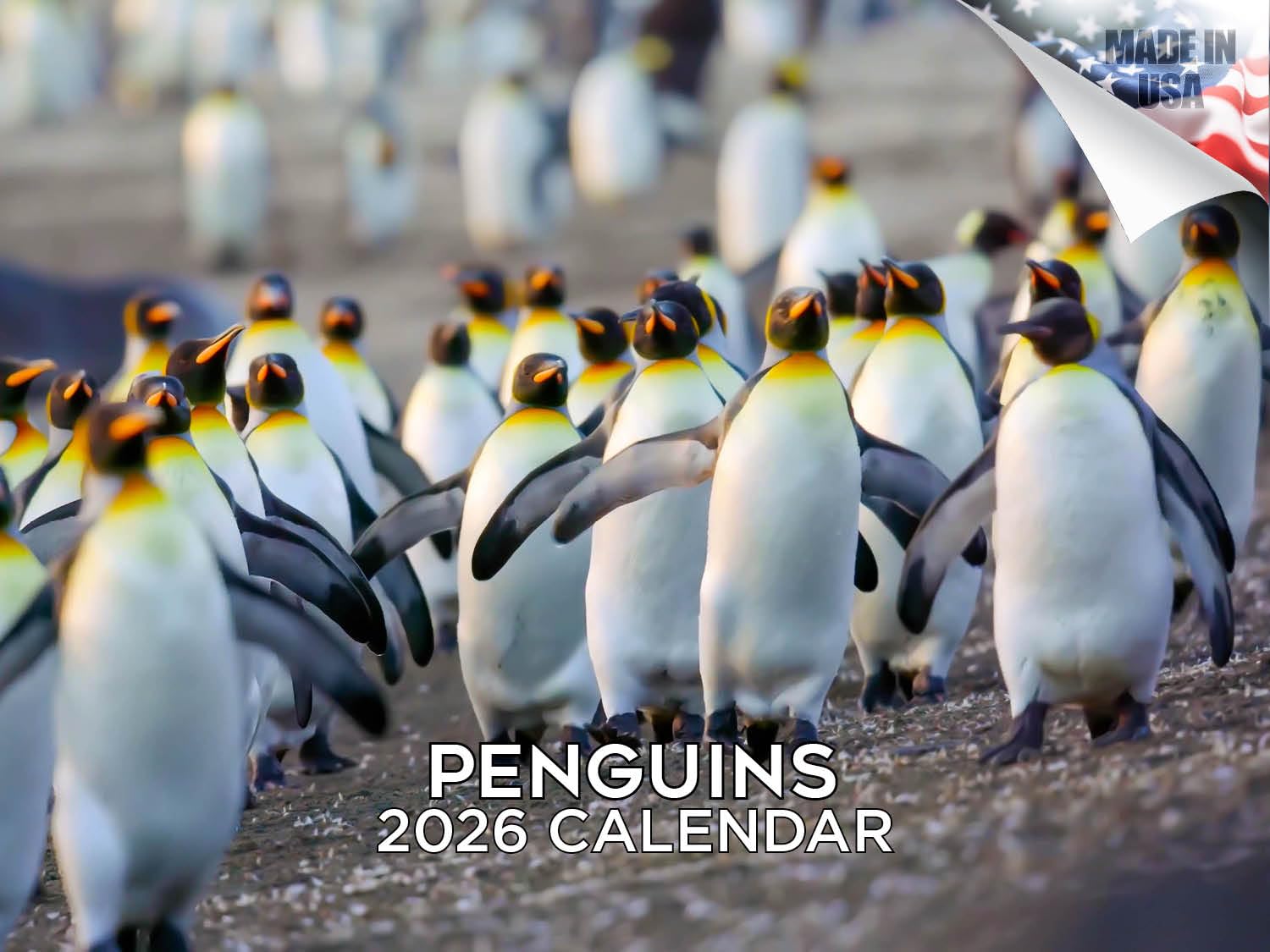2024 2025 Penguin Calendar - Cute Wildlife Sealife Monthly Wall Calendar - 12 x 18 Open - Thick No-Bleed Paper - Giftable - Academic Teacher's Planner Calendar Organizing & Planning — image 1