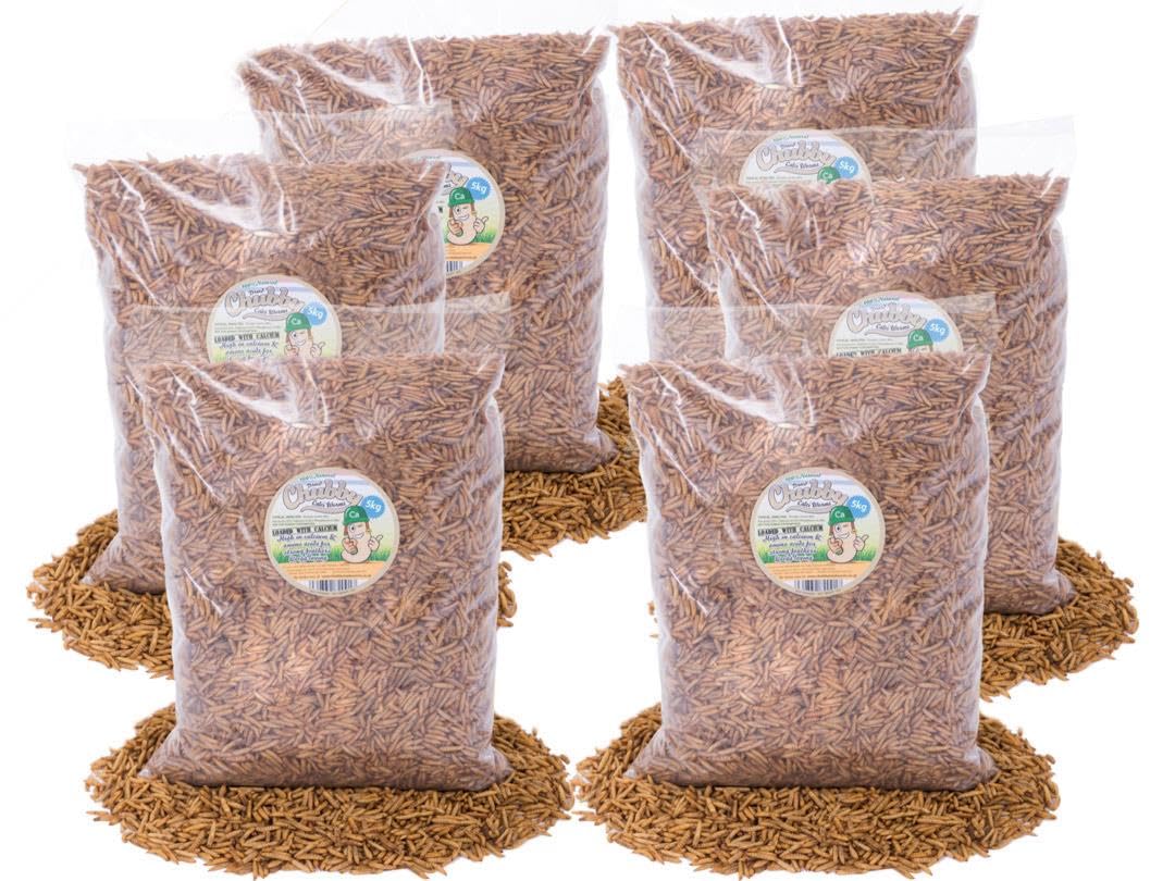 Chubby Dried Calciworms High Calcium Treat for Hedgehogs & Birds 30Kg — image 1