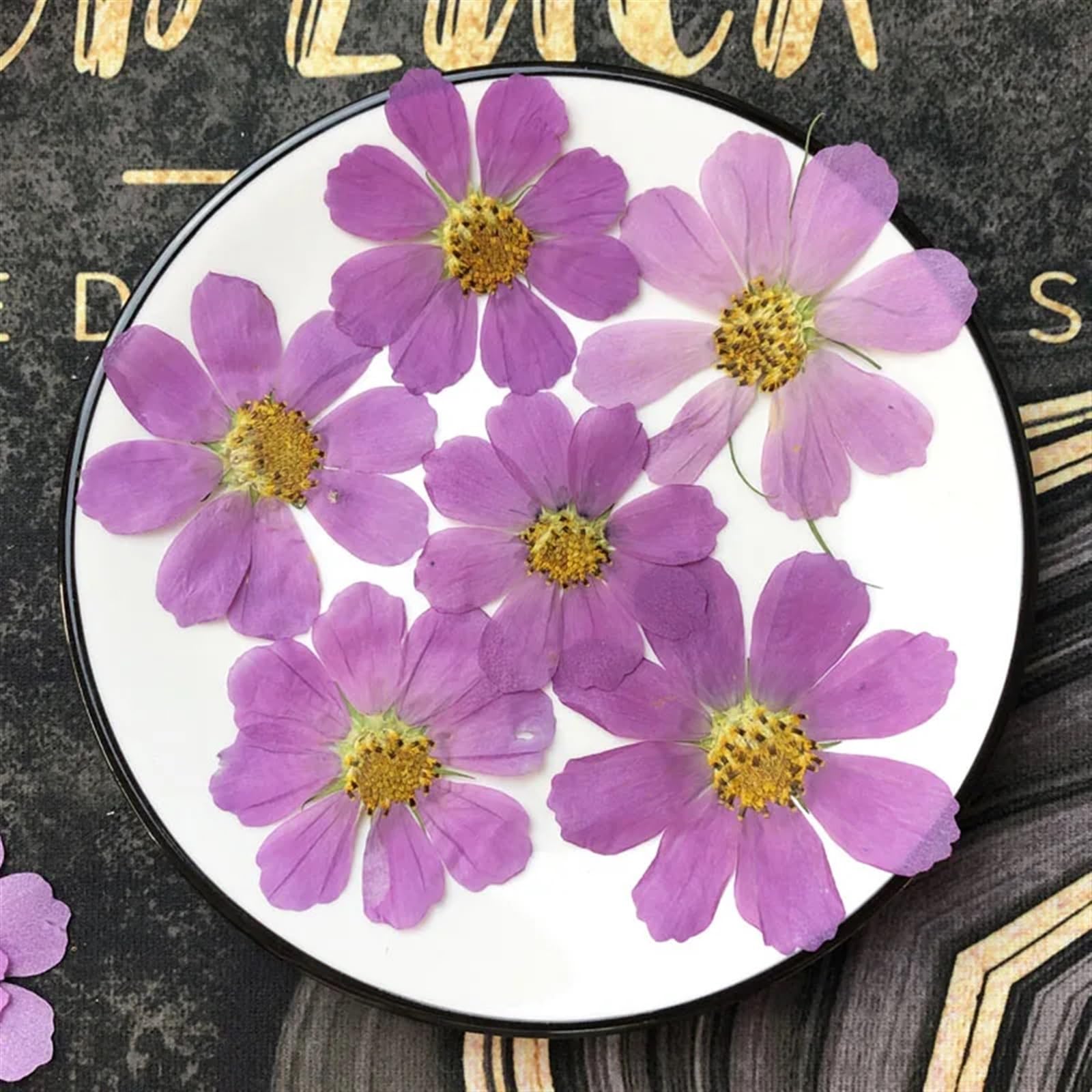 Fleurs Séchées Pressées Lot de 250 Fleurs séchées pressées 4 à 7 cm, herbier for Carte Postale, Cadre Photo, Bijoux, Marque-Page, Artisanat, Bricolage(Color-2)