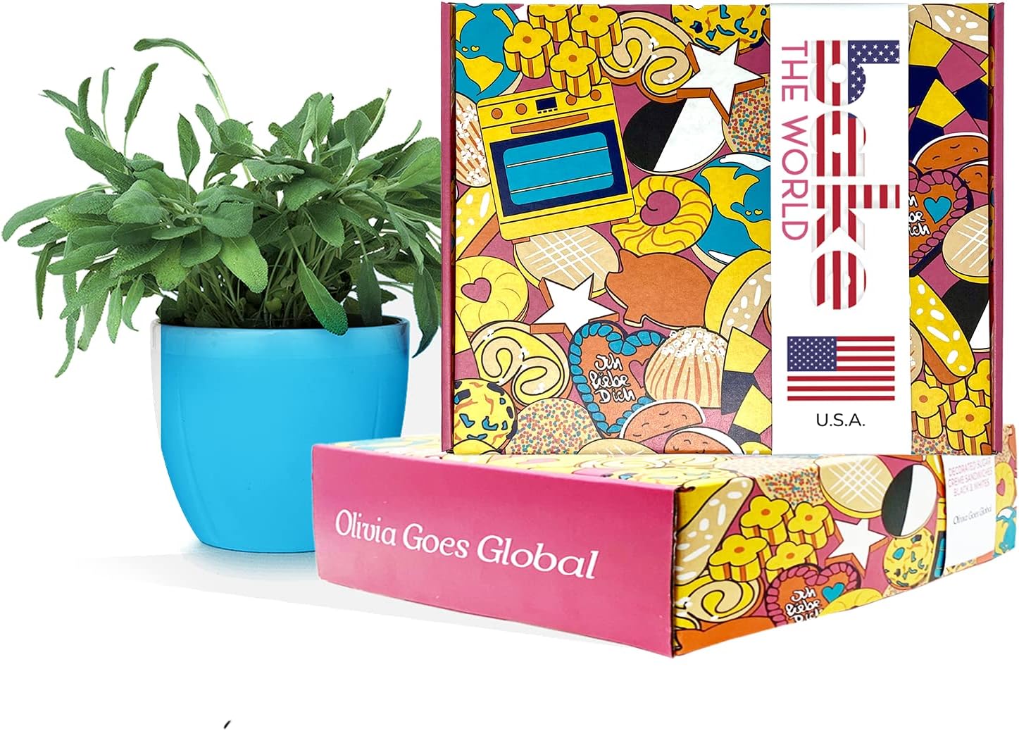 American Baking Kit with Masterclass Access Code - Bake the World Bakery Tools Kit