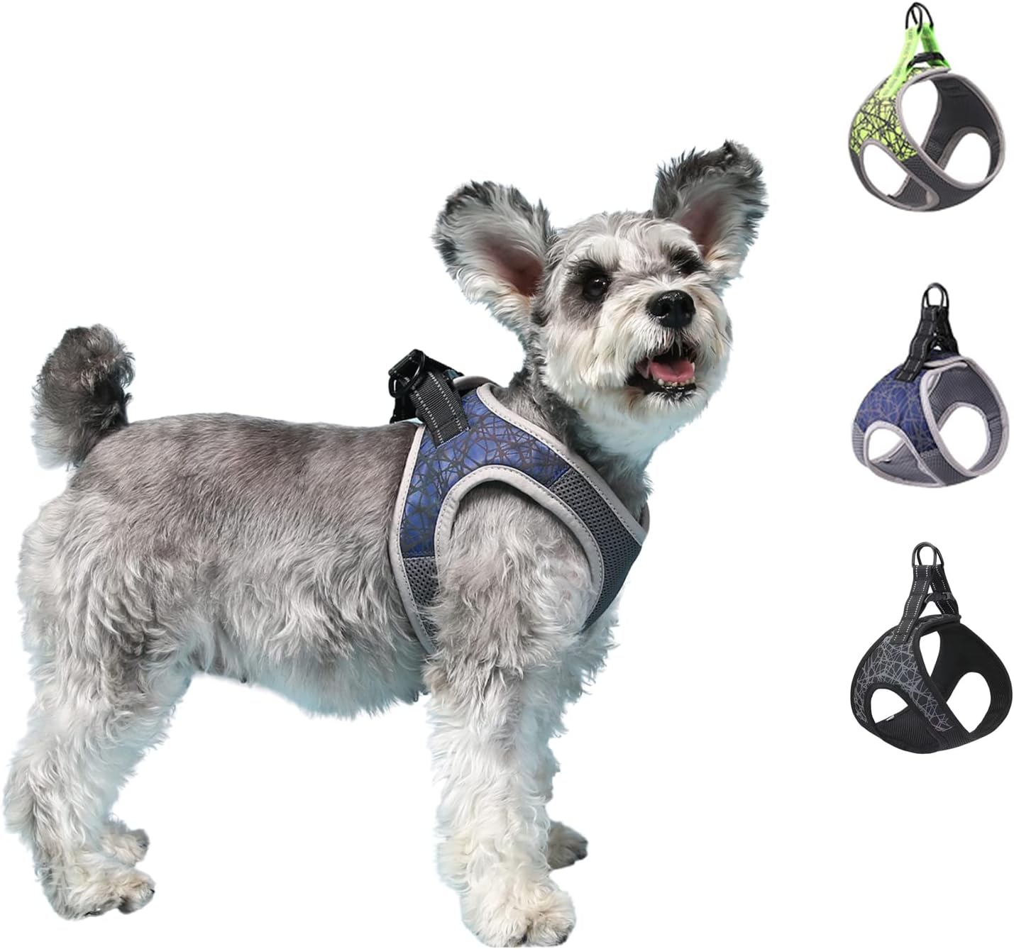 puppy training harness