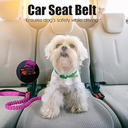 Miniatura 45 de BUMBIN Correa elástica para perro de 6 pies, correa elástica para perro con 2 asas, correas resistentes para perros medianos y pequeños, sin