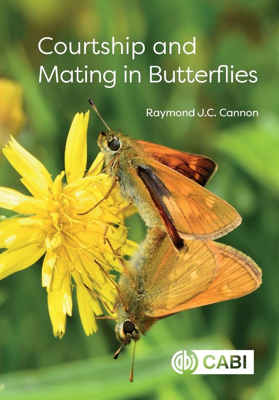 Courtship and Mating in Butterflies