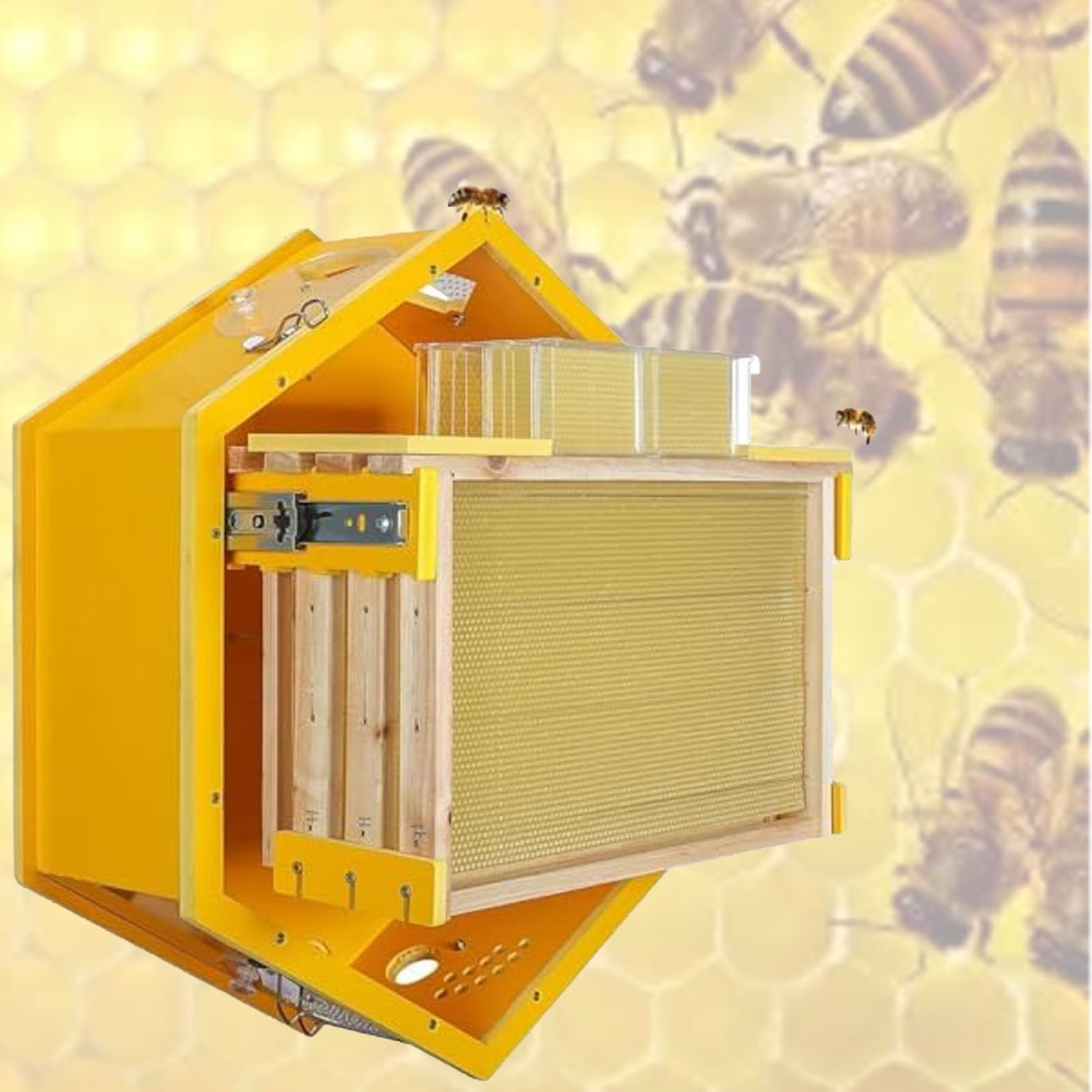 Caja para Colmena con Ventanas de observación, Kit Completo para Principiantes, para cría de Abejas en Interiores, fácil observación, con 3 Marcos y Caja de Miel de 6 panales.