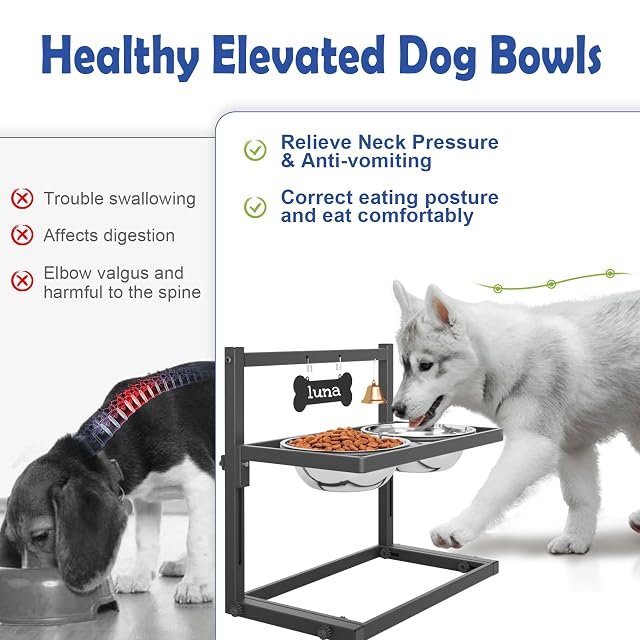 Foto 2 de 6 de Cuencos elevados para Perros medianos y pequeños