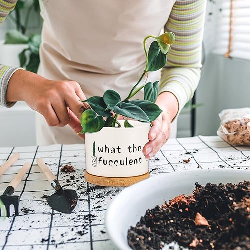 Miniatura 6 de PARBEE Divertidas macetas para suculentas, mini macetas para suculentas, bonitas macetas para suculentas, maceta pequeña de cerámica para cactus con