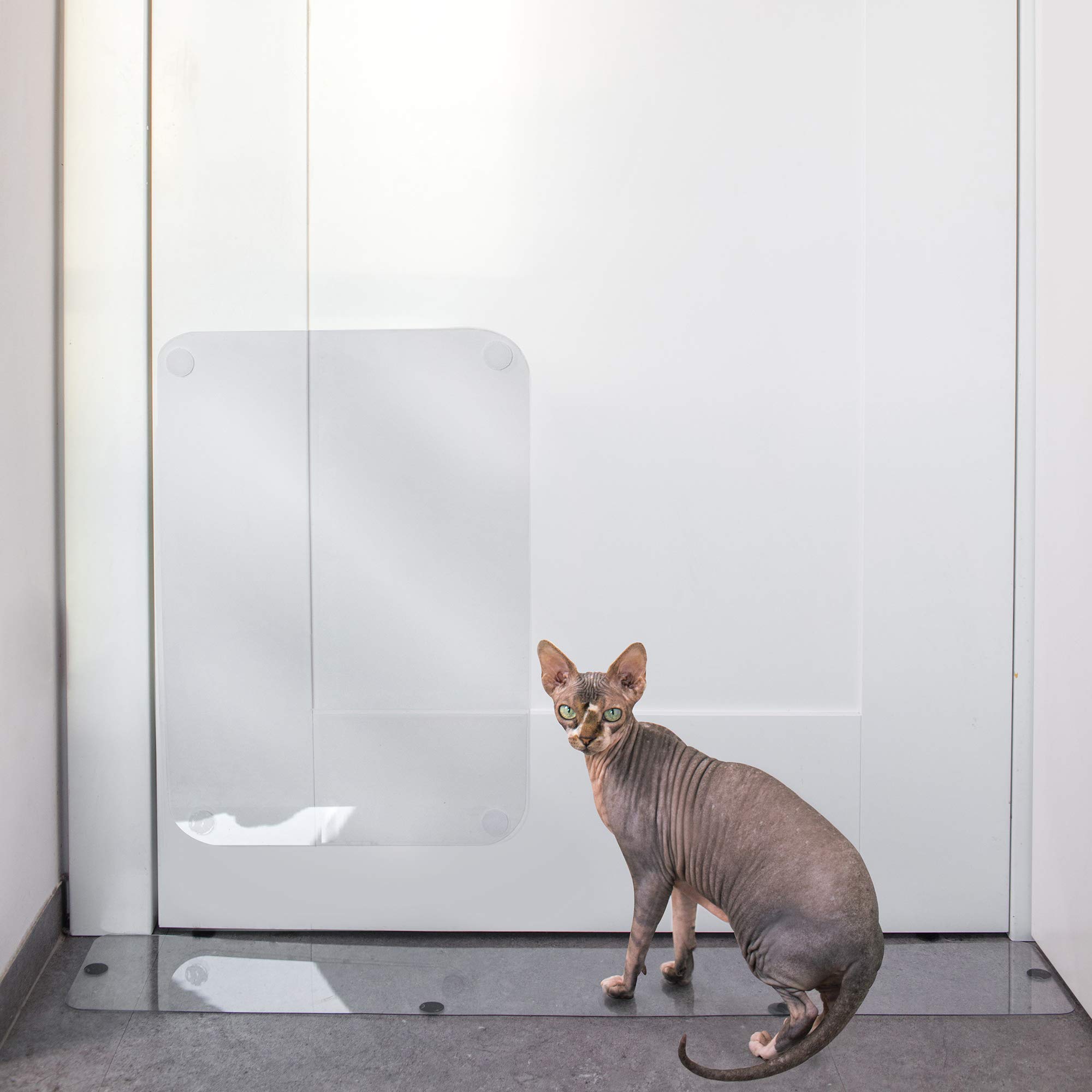 carpet scratch protector