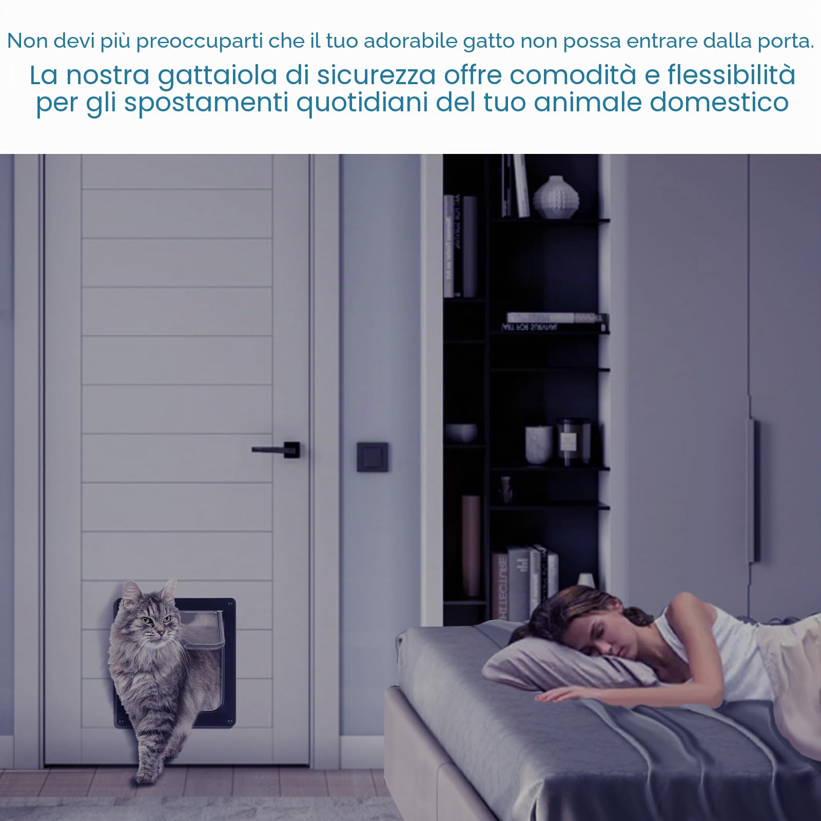Roxanex Porta per gatti grande, 20 cm x 18,5 cm, facile da montare, per finestre sottili, porta di sicurezza per animali domestici con serratura a 4 vie, resistente alle intemperie, per armadietti