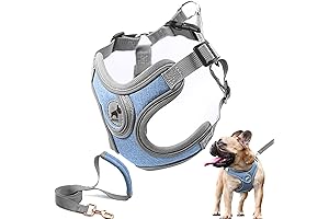 Dog Harness with Leash Set, No Pull Step in Harness Medium Size Dog