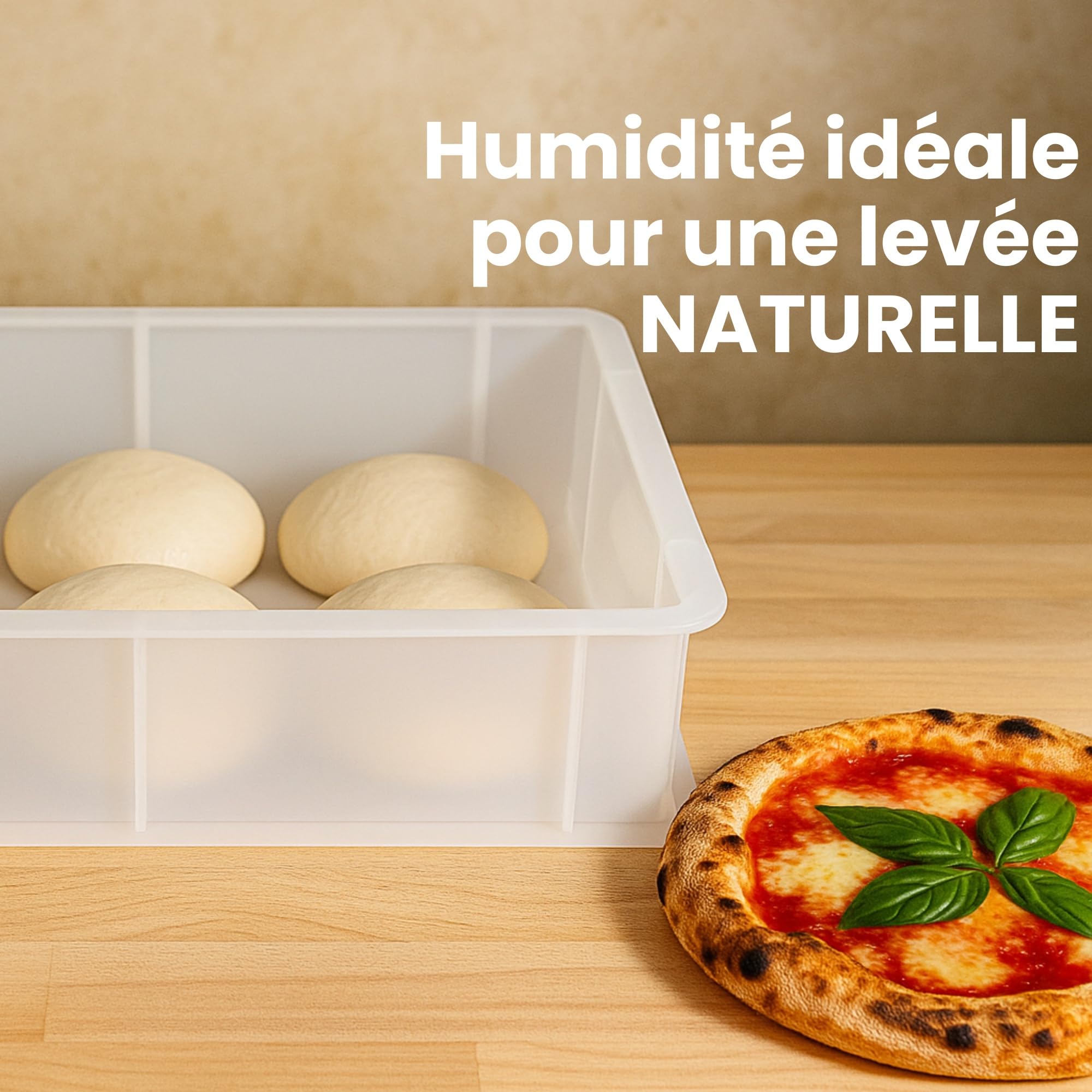 CookandSupply Conteneur pour Levée de Pizza et Pain BPA-free – Bacs à Pâte Certifiés Contact Alimentaire – Made in Italy – 2 Bacs Empilables 40x30x10 + 1 Couvercle