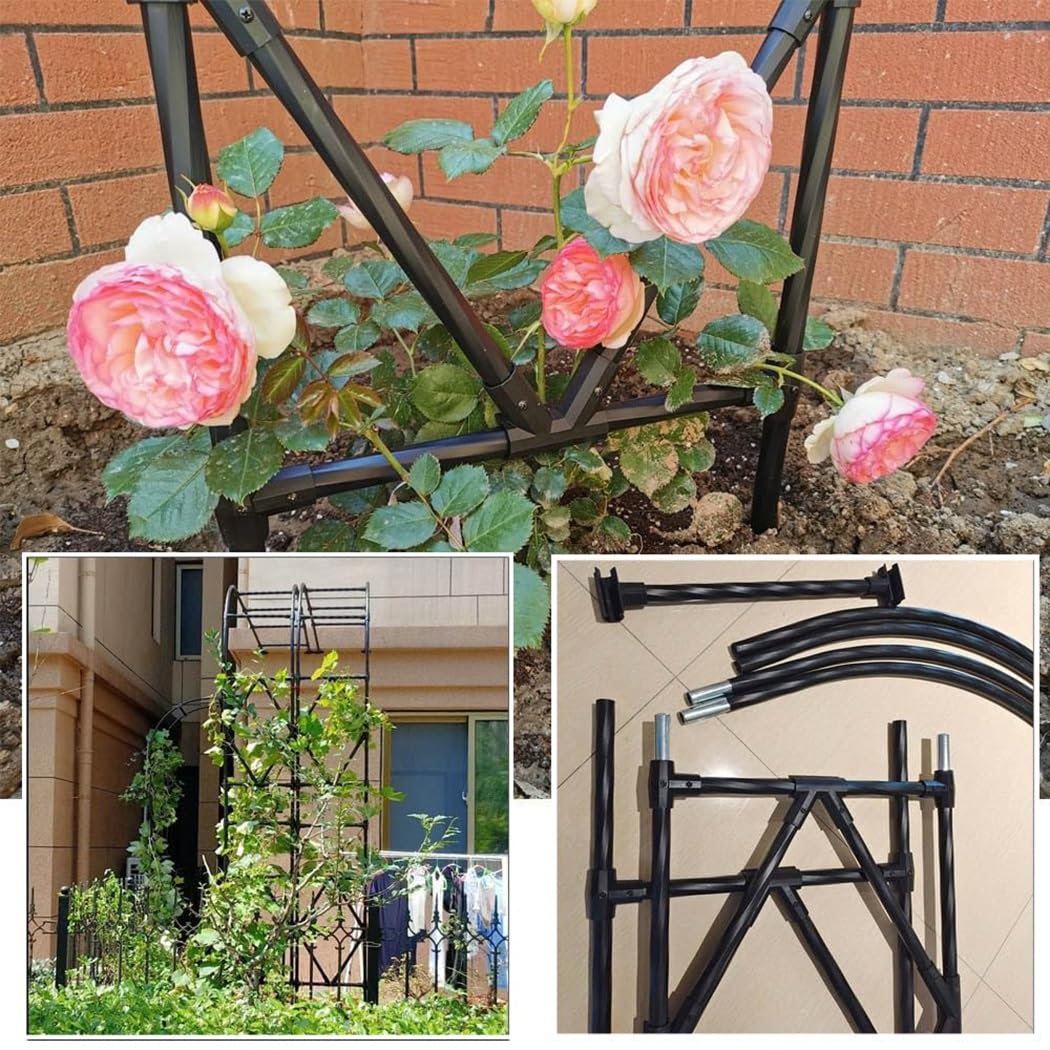 Traliccio Arco Da Giardino Per Rose Piante Rampicanti Semi- Arcos Di Rosa Pergolato - Per Verdure, Frutta, Fiori, Viti, Cetrioli(120 * 240cm/3.9ft*7.8ft)