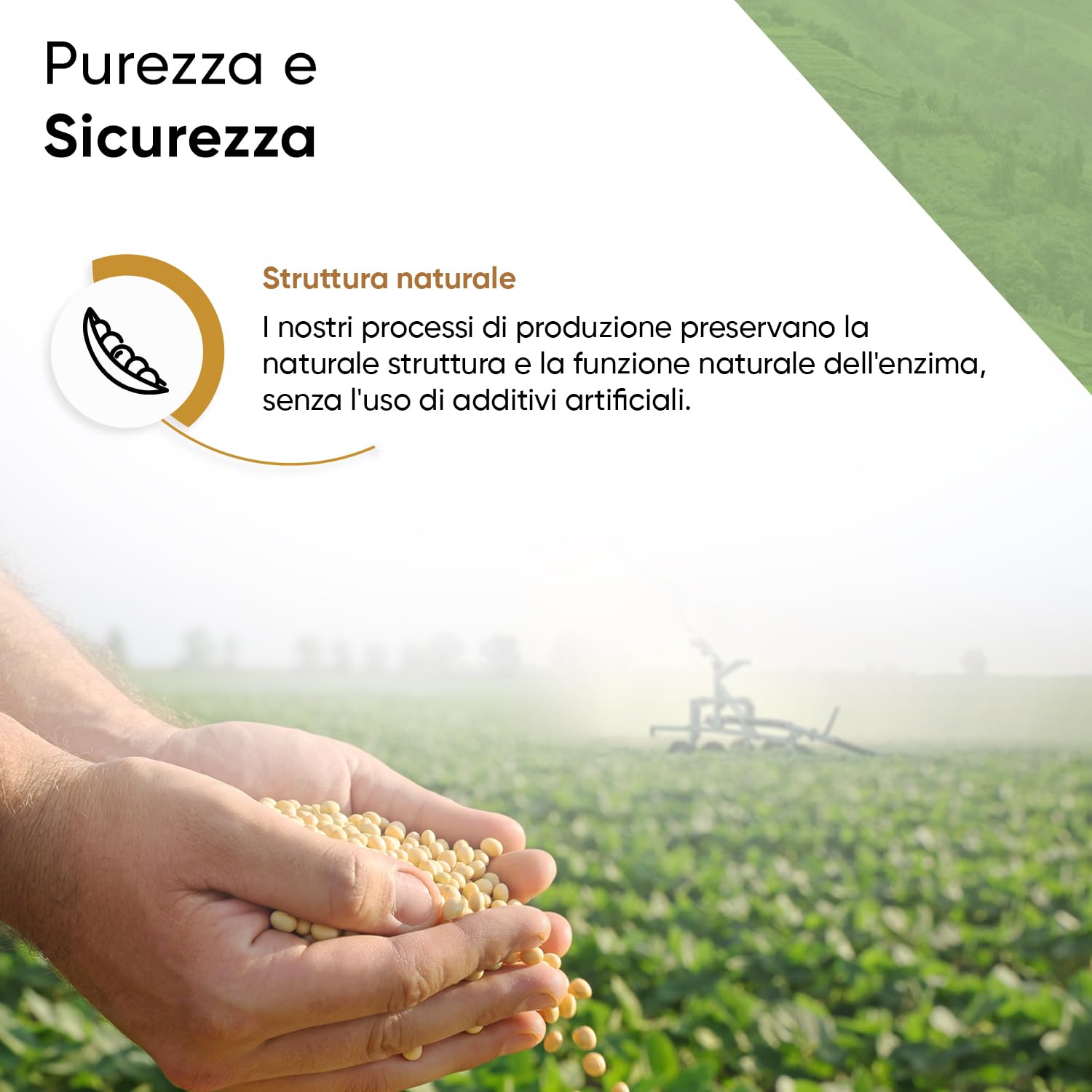 Nattokinase 365 capsule da 100 mg ciascuna (20.000 FU/g) - Scorta per 12 mesi con portapillole incluso - Ad alto dosaggio - Testato in laboratorio - Vegano - A base di soia senza OGM e senza additivi