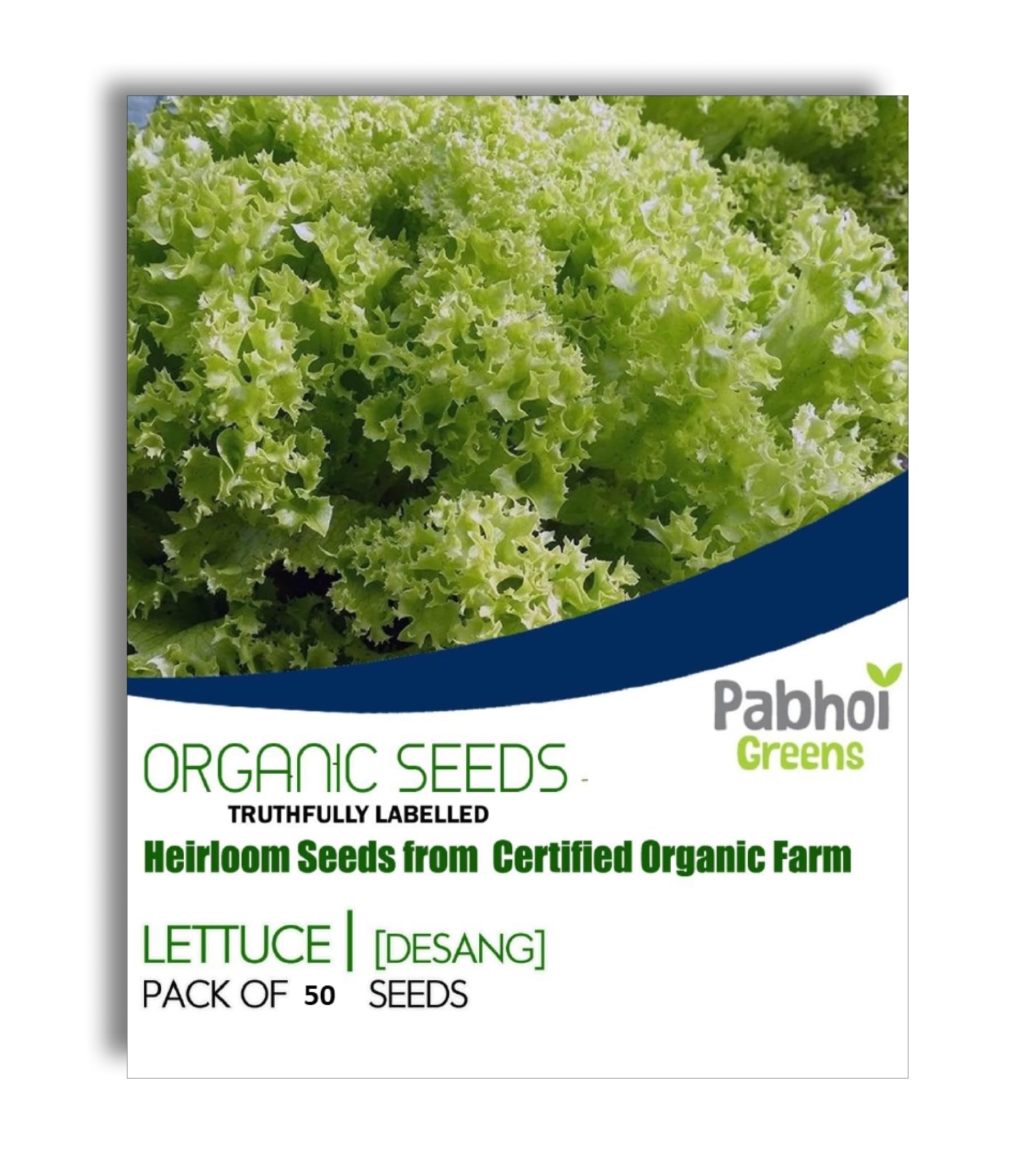 Pabhoi Greens Organic Seeds - Lettuce [ Desang ] (B0CDP7M4KQ) Amazon Price History, Amazon Price Tracker
