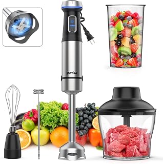 Ganiza 5-in-1 Immersion Blender 1000W Copper Motor 16 Speeds Stainless Blades Chopper Whisk Frother 800ml Beaker