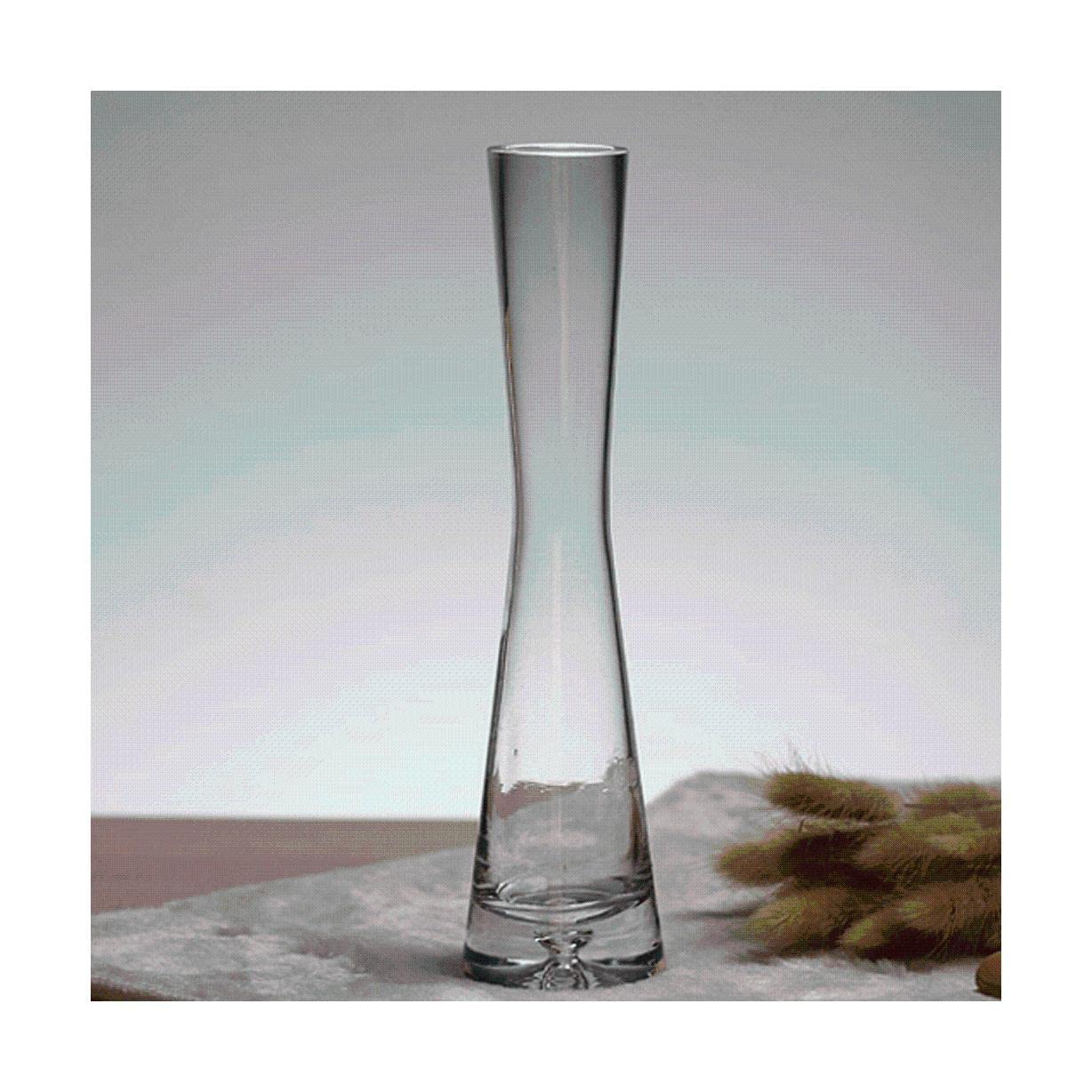 Ngdfgr As Known Fashion Adornment Vases,Glass Transparent Small Vase Hydroponic Slender Small Mouth Vase Device Countertop Flower Arrangement Decoration (Style),Style-B