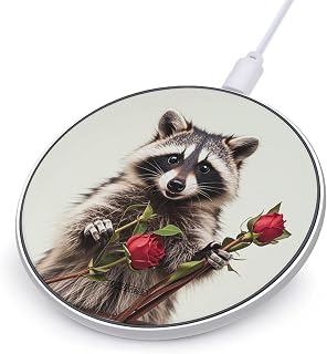 Funny Raccoon Wireless Charger 10W Portable Fast Wireless Charging Pad Compatible with Phone Slim Charging Station Lightweight Charger Mat Charging Block for Travel Home Office