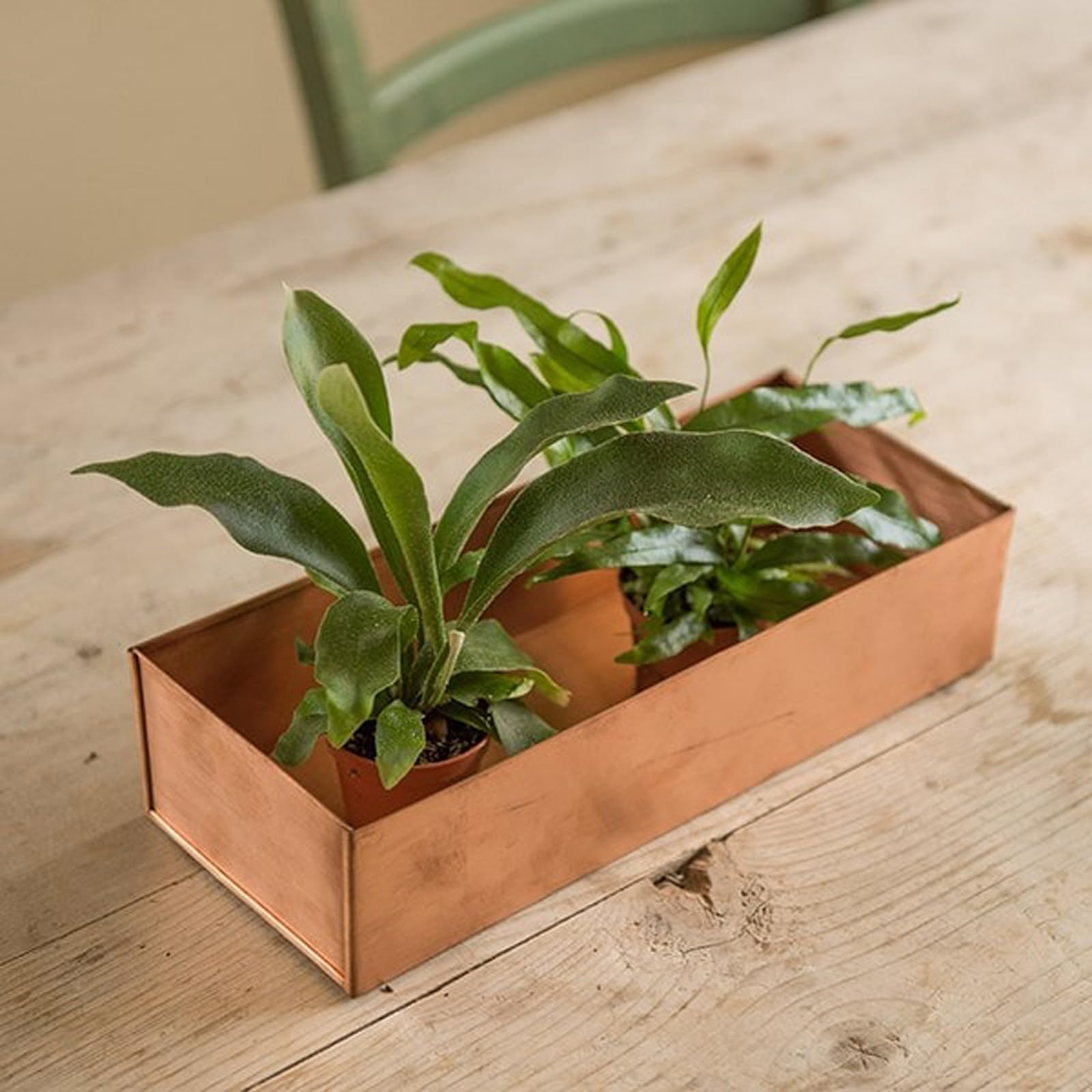 Crocus Collection 30cm Brushed Copper Windowsill Seed Tray Water Drip Tray for Planters