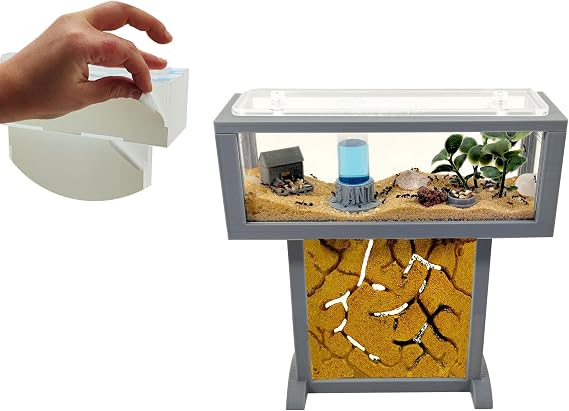 Ant Farm Set T - Mini Natural Sand 15 x 5 x 16 - Free Ants Included - 20-30 Ants